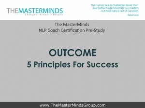 5 Principles For Success